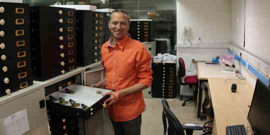 Krushnamegh Kunte in the Dry Collections, March 2019