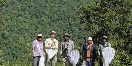 Field work at Eaglenest, June 2015