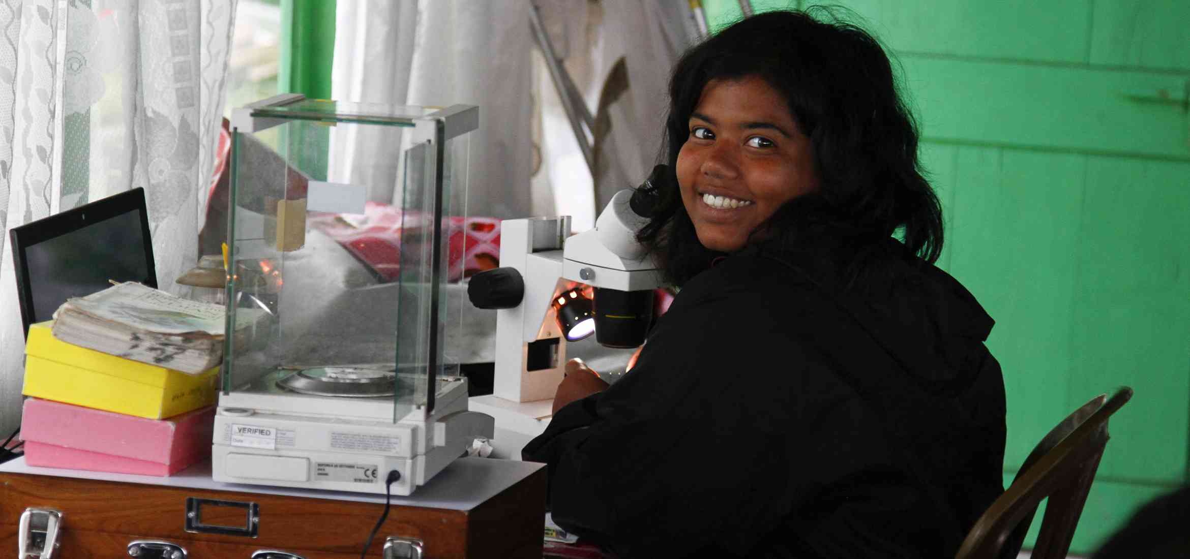 Insect morphometric measurements at Eaglenest, June 2015